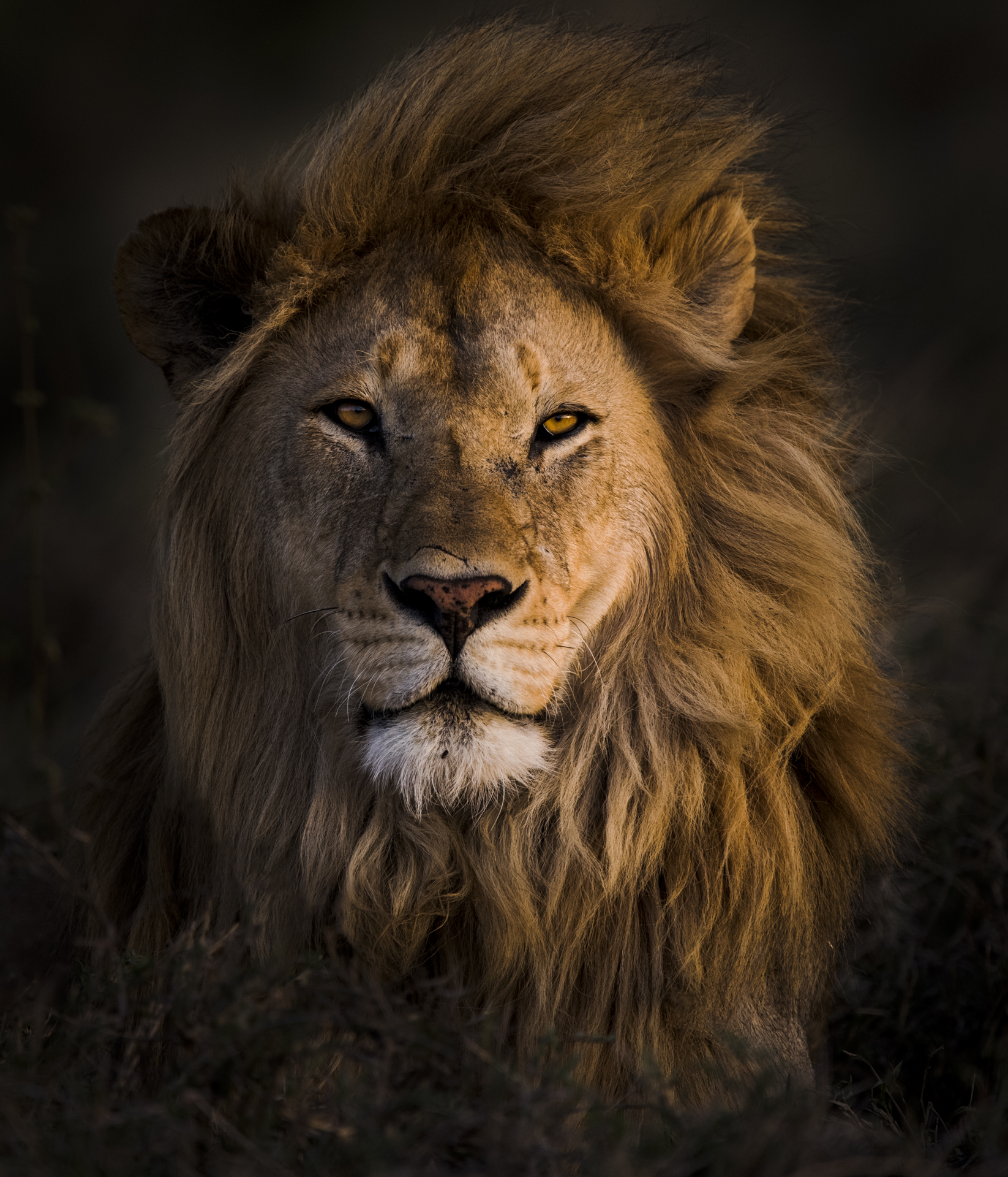 Remembering_Lions_5306-Edit